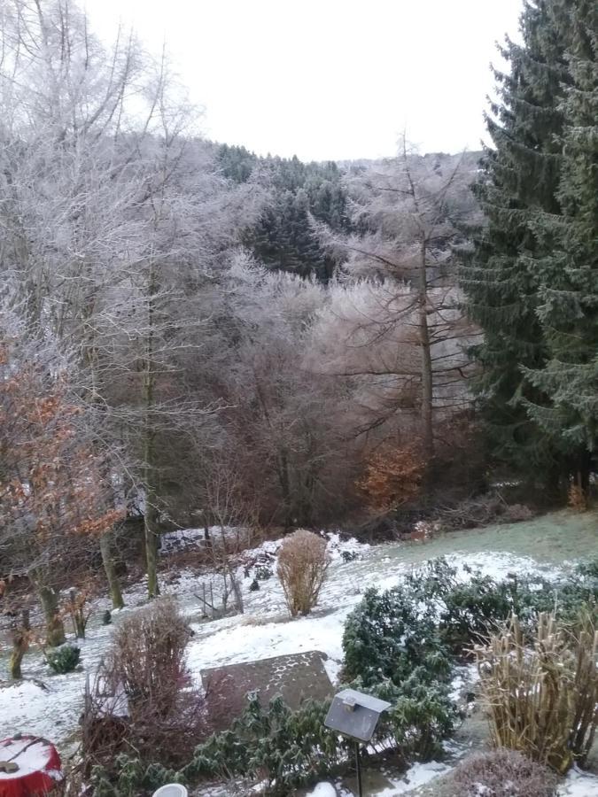 Perlenbachtal Monschau Exterior foto