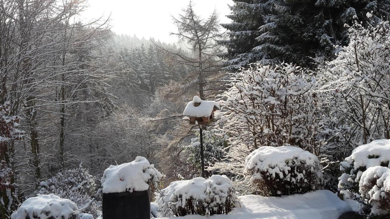 Perlenbachtal Monschau Exterior foto